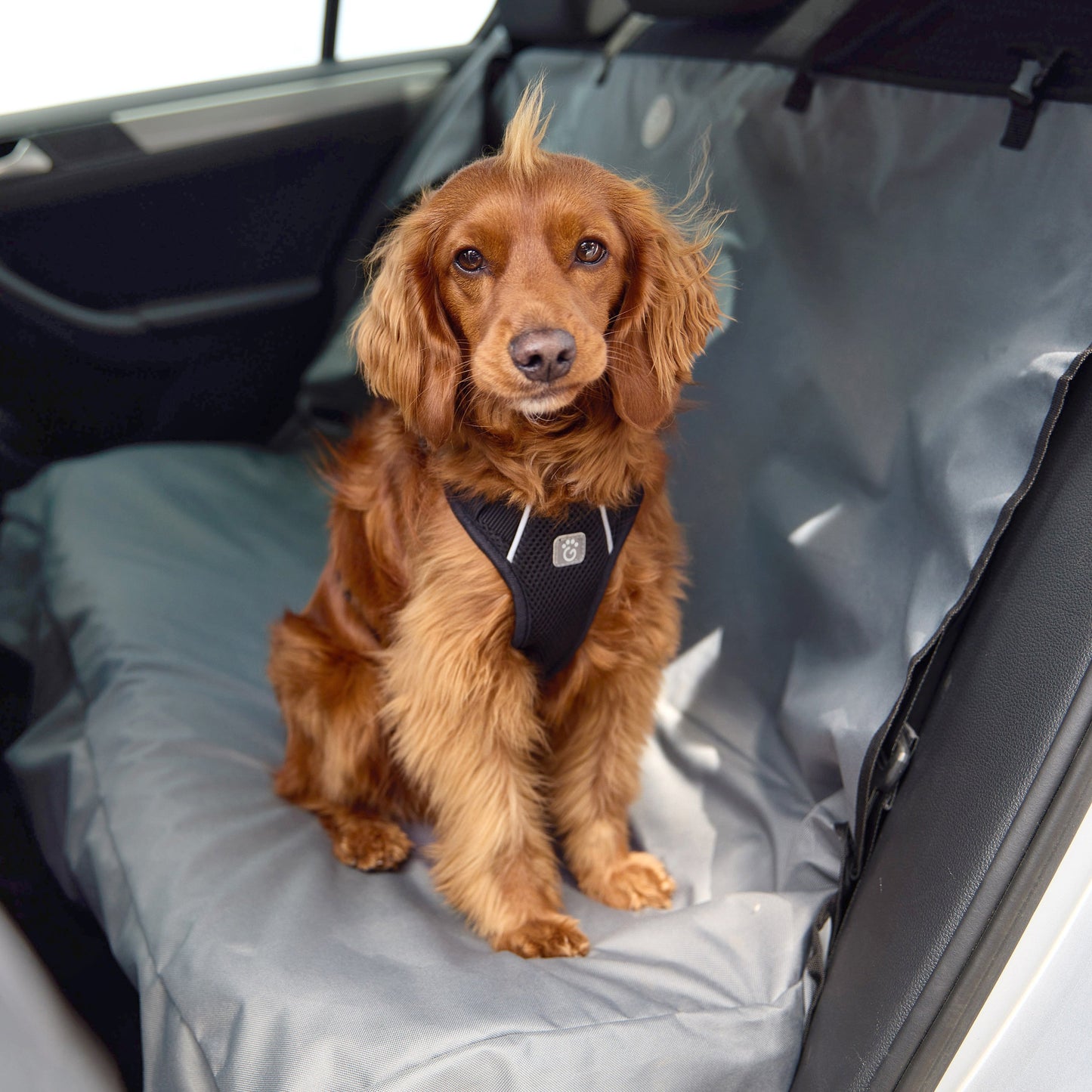 Full Rear Seat Cover – Waterproof Dog Protection