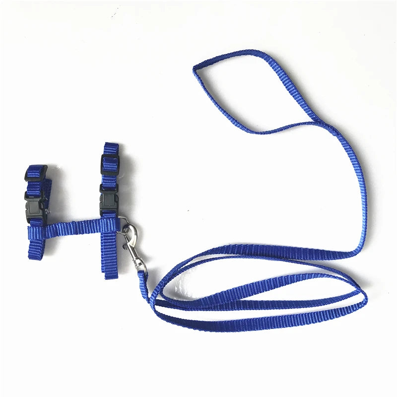 Cat Harness and Leash Set – Breakaway Collar Included