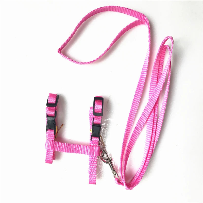 Cat Harness and Leash Set – Breakaway Collar Included