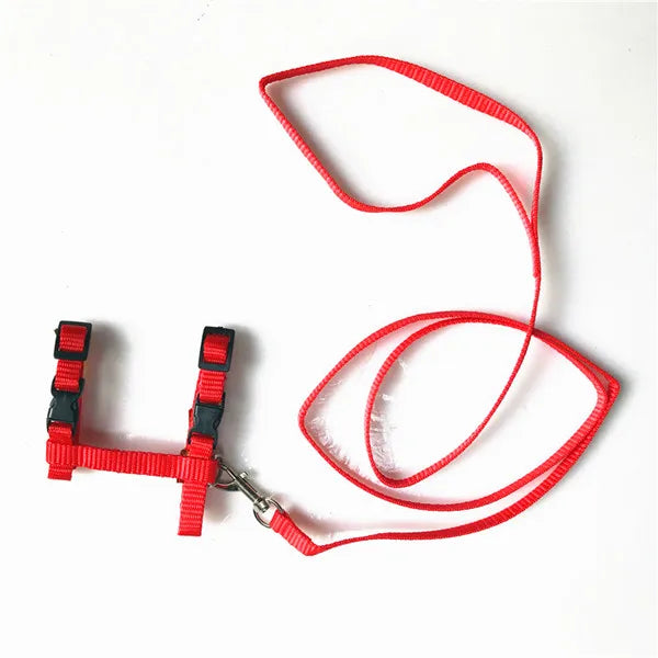 Cat Harness and Leash Set – Breakaway Collar Included