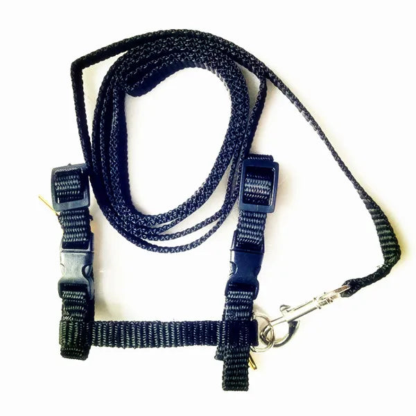 Cat Harness and Leash Set – Breakaway Collar Included