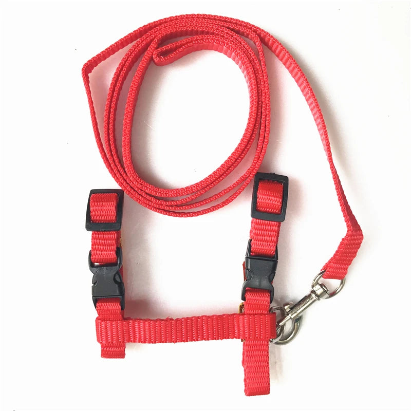 Cat Harness and Leash Set – Breakaway Collar Included