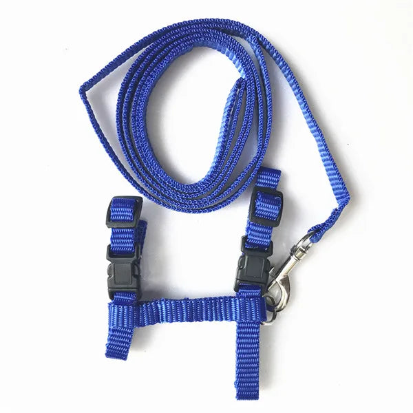 Cat Harness and Leash Set – Breakaway Collar Included