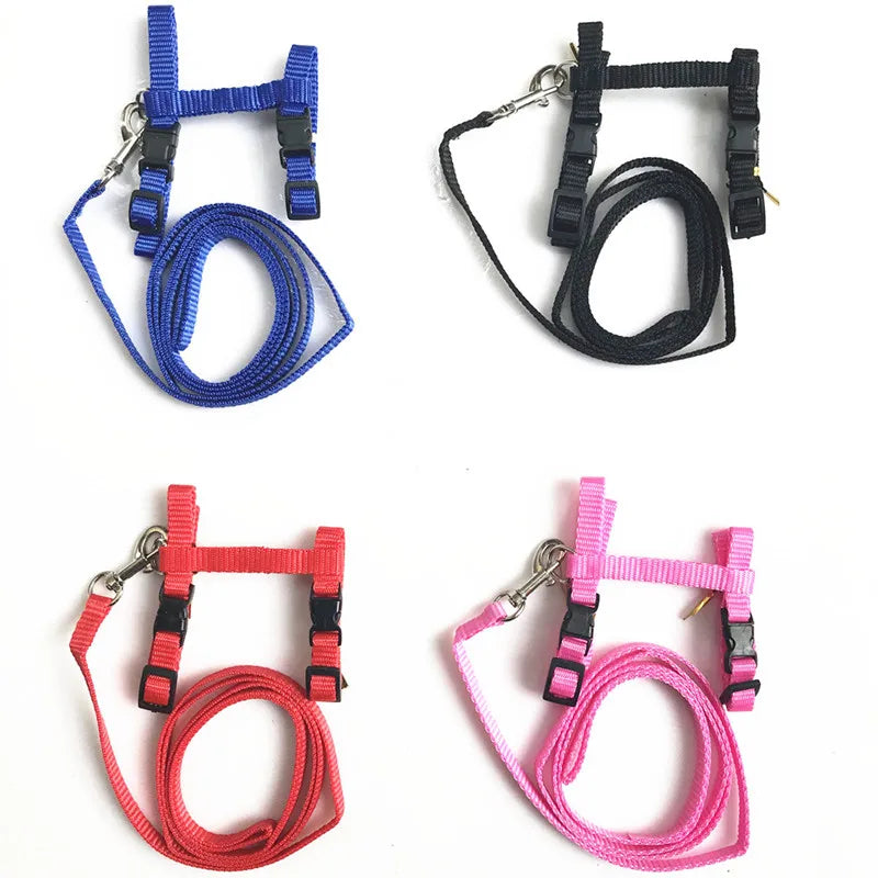 Cat Harness and Leash Set – Breakaway Collar Included