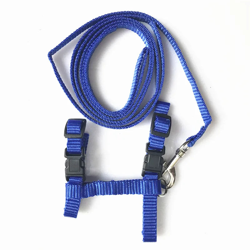 Cat Harness and Leash Set – Breakaway Collar Included