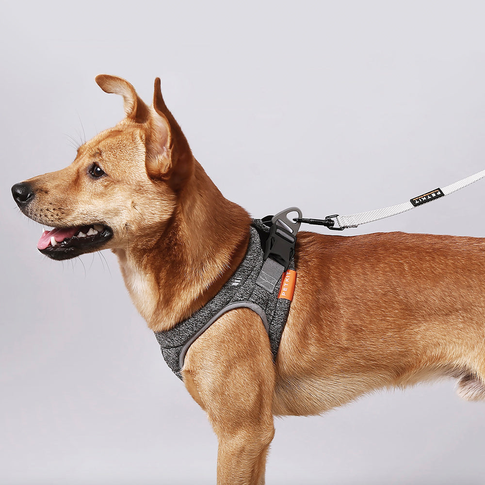 Dog Harness – Air Pro Foam Padded Breathable