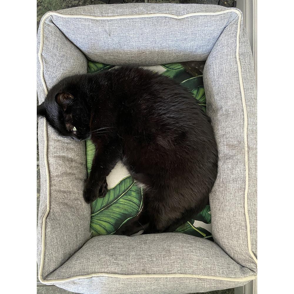Reversible Memory Foam Pet Bed – Cooling & Warming