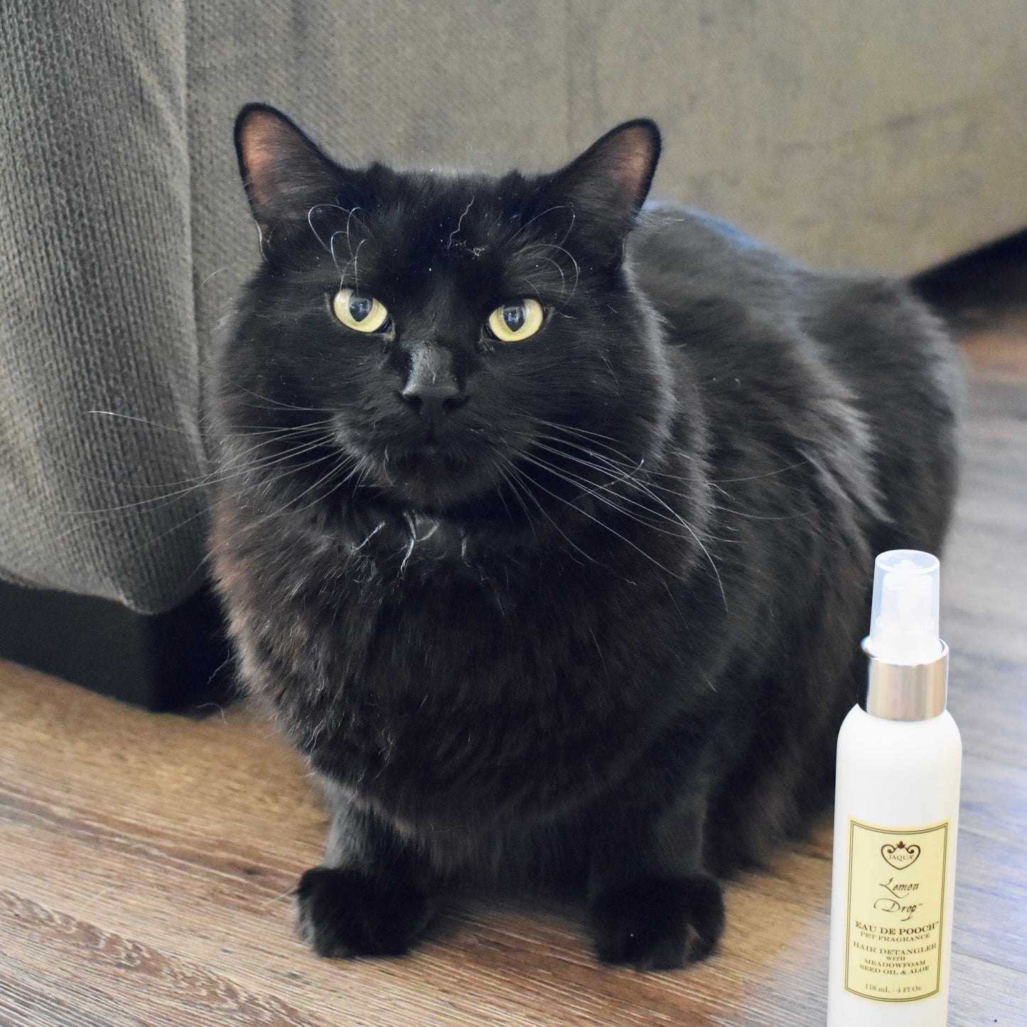 Lemon Drop Eau de Eau de Pooch pet fragrance product line with four spray bottles and Lemon Drop featuredPooch pet fragrance spray yellow bottle on bright pink background