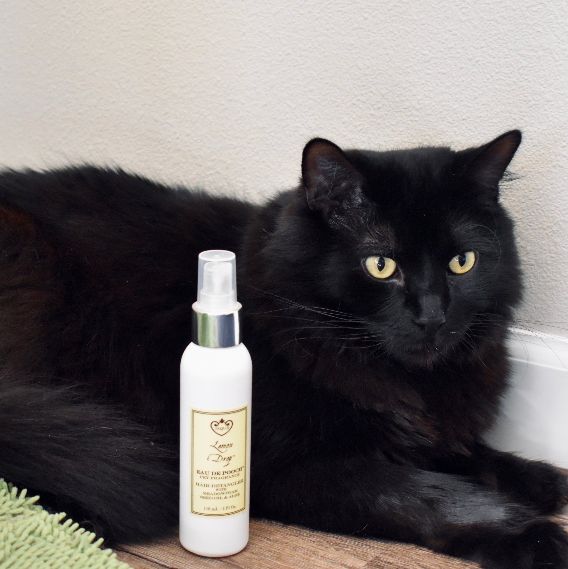 pets - dog grooming for dogs and cats everyday pet care use