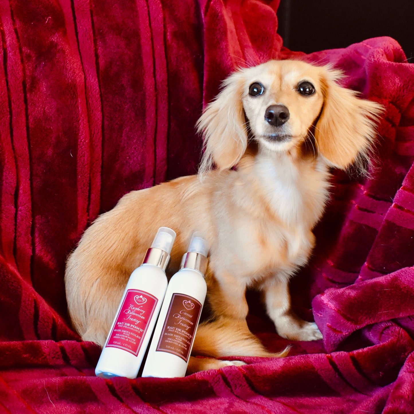 Coconut Buttercream Pet Fragrance – Detangling Spray