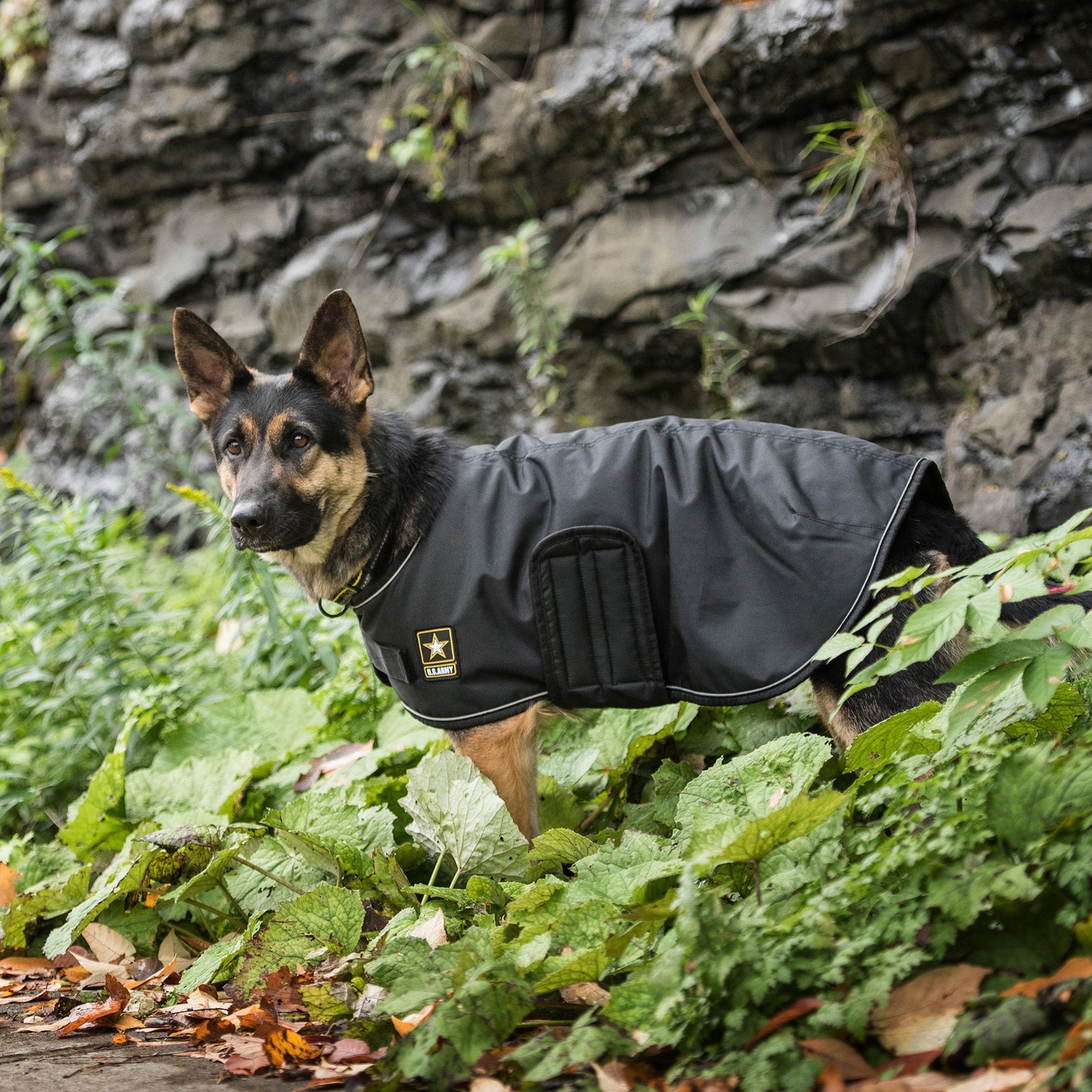 US Army Dog Blanket Jacket – Black | Waterproof Fleece