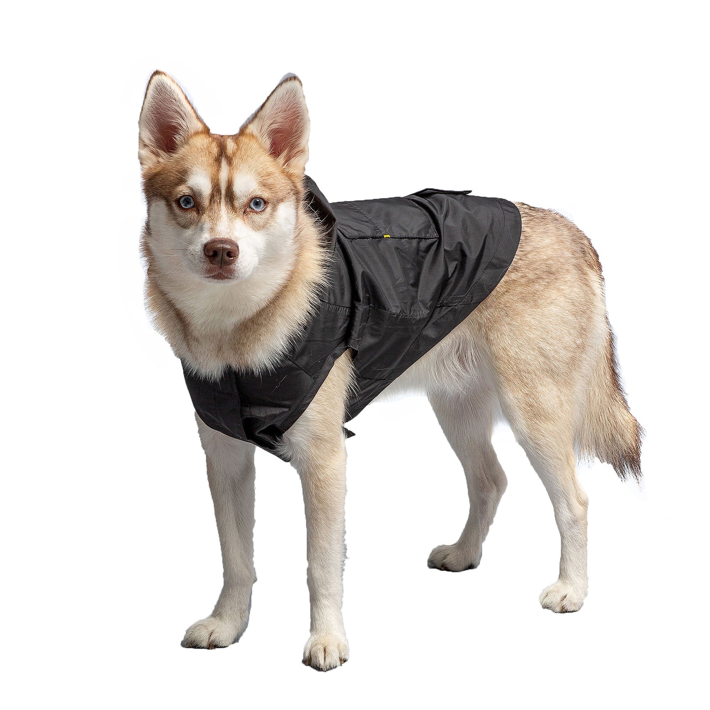 Dog Raincoat – US Army Packable Waterproof
