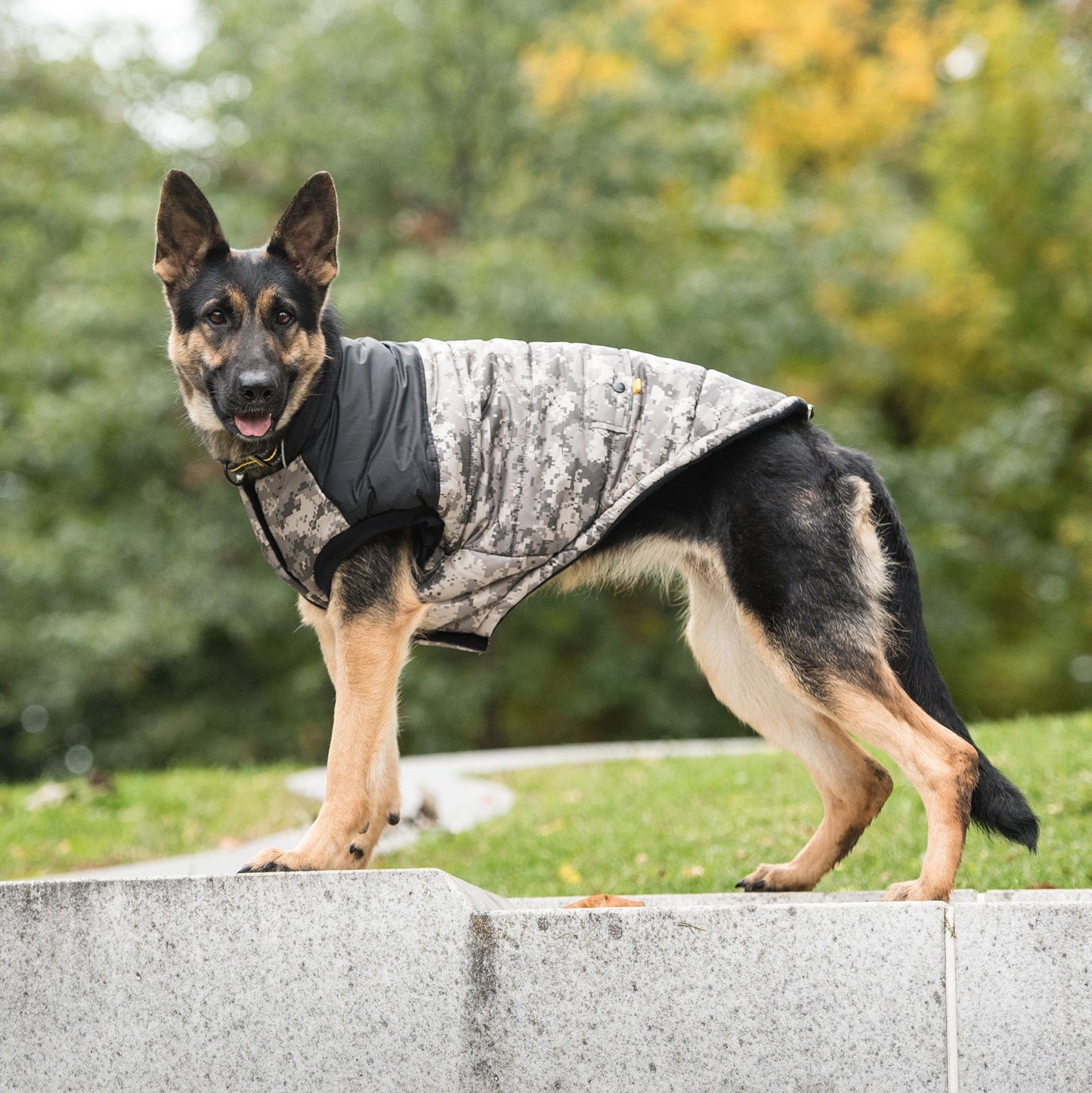 Dog Jacket – US Army Polar Fleece Camo