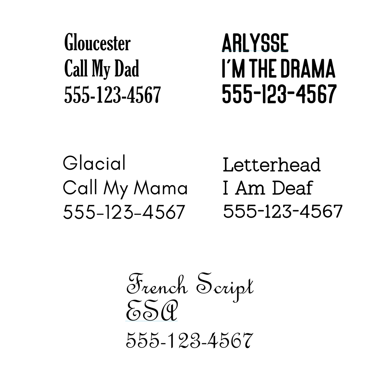 Font options for custom pet ID tag engraving: glacial, french script, letterhead, gloucester and more