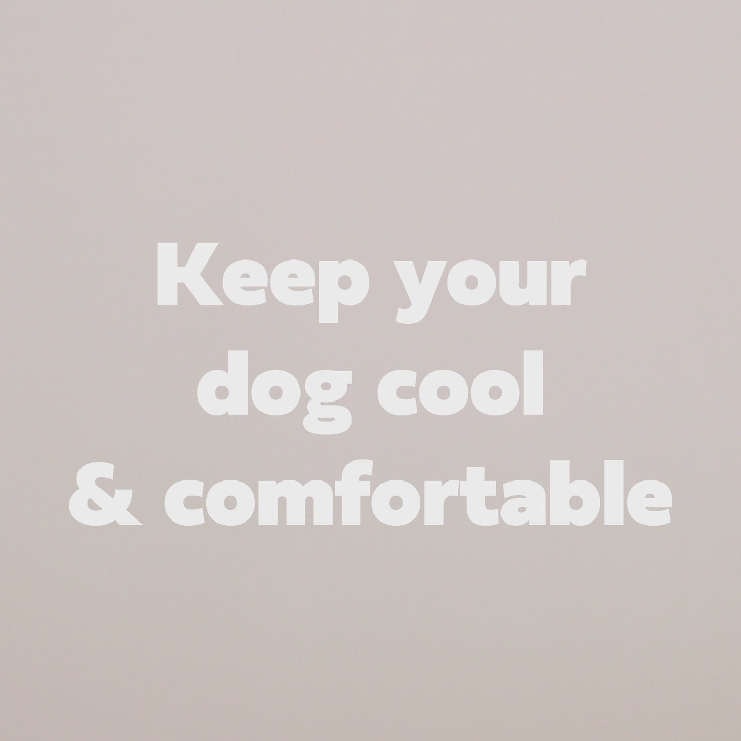 Elasto-FIT Dog Ice Vest – Blue | Summer Cooling Vest