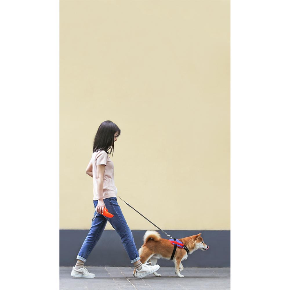 Shiba Inu dog walking on leash with INSTACHEW Rover orange water bottle attachment outdoors on beige background