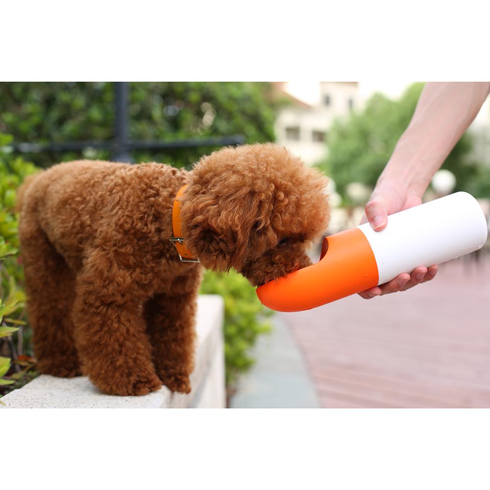 Brown toy poodle dog sniffing INSTACHEW Rover orange and white attachment toy held outdoors