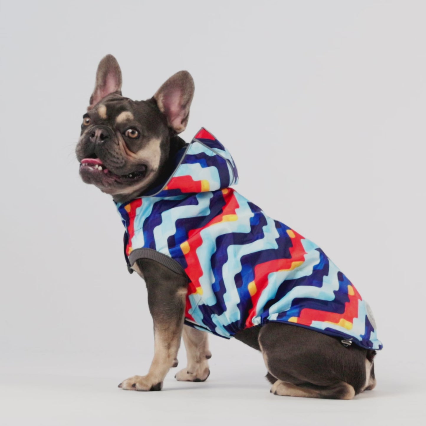 Dog Raincoat – Elasto-Fit Reversible Navy