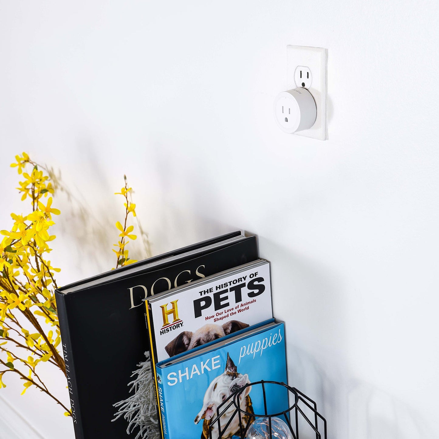 Smart Pet Device Plug – Alexa, Google & App Control